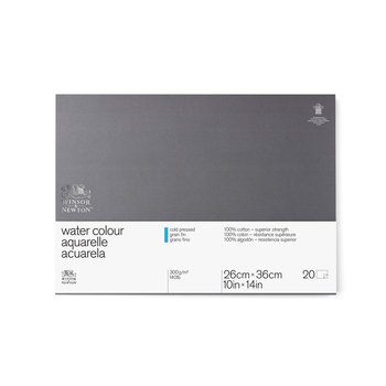 WATER COLOUR PROFESSIONAL PAD 140 lb COLD 20 SHEETS 10