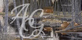 PRINT-REFLECTIONS OF AUTUMN Thumbnail