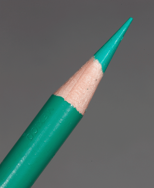 PENCIL PARROT GREEN Thumbnail