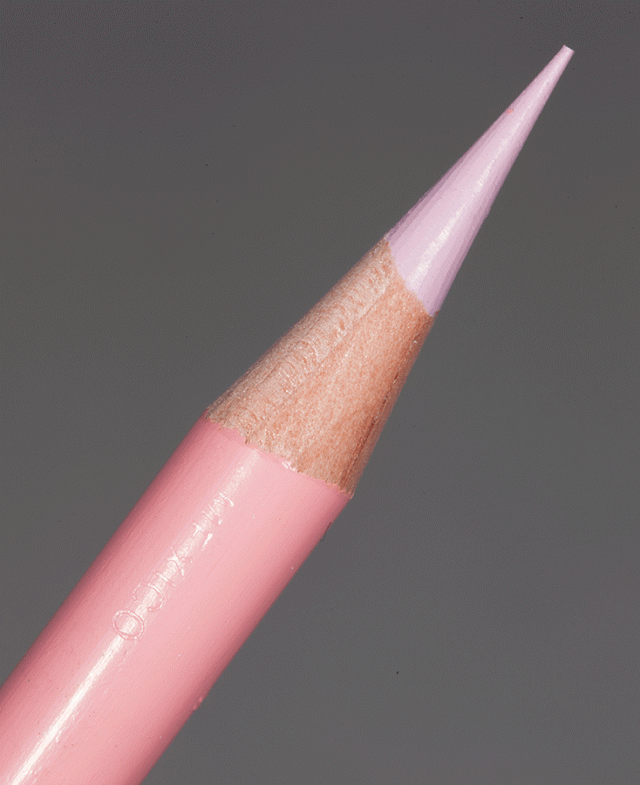 PENCIL PINK ROSE Thumbnail