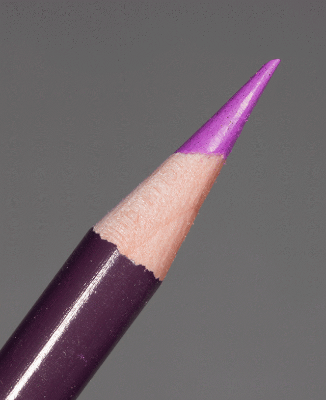 PENCIL MULBERRY Thumbnail